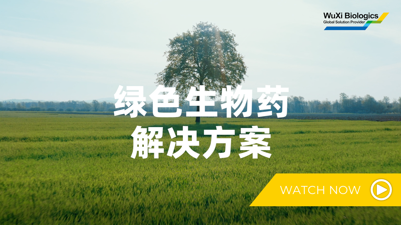 豪门国际